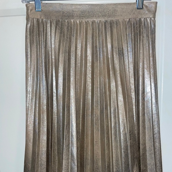 Zara Metallic Pleated Skirt - Picture 3 of 3